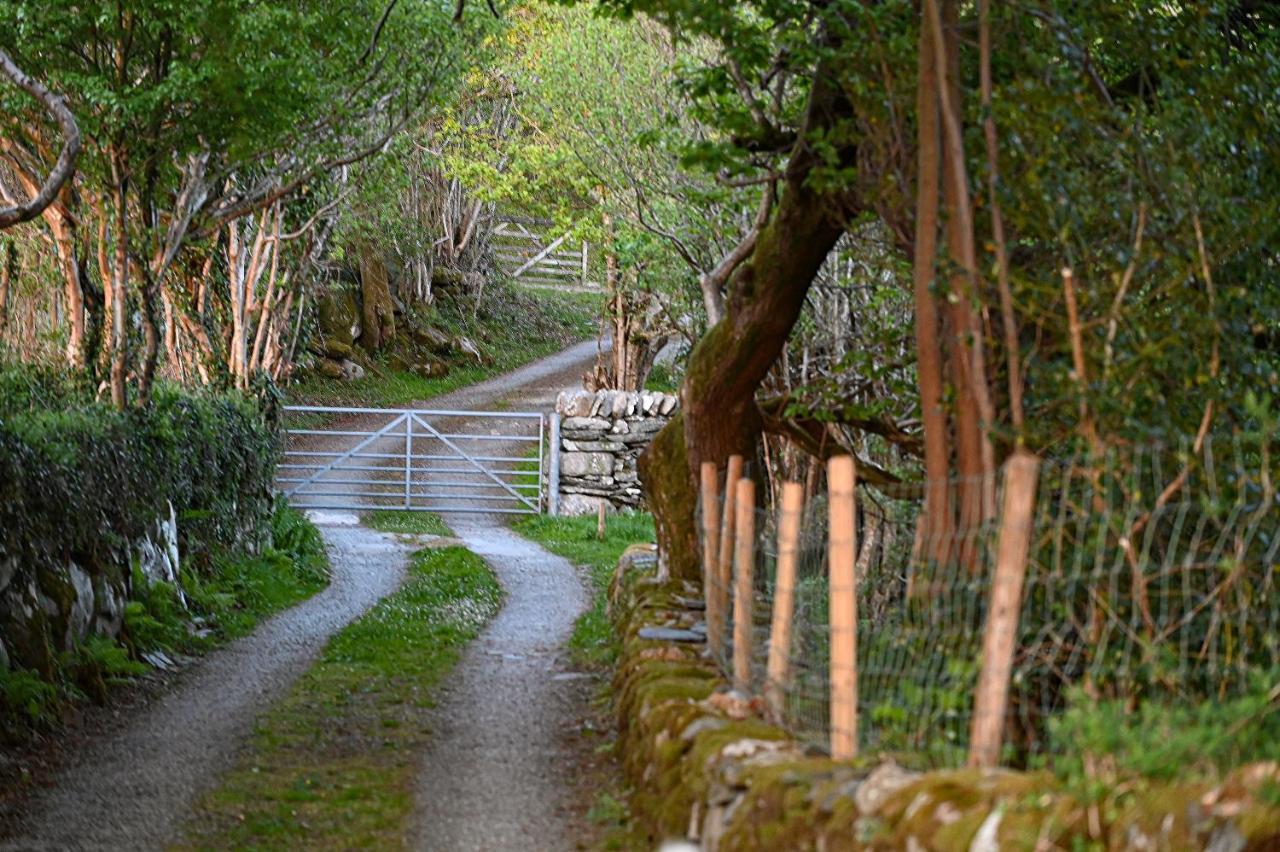 Ty Gwennol Near Gilfach Goch Apartment Llanbedr  Bagian luar foto